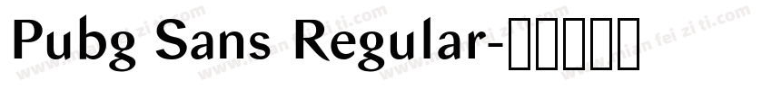 Pubg Sans Regular字体转换